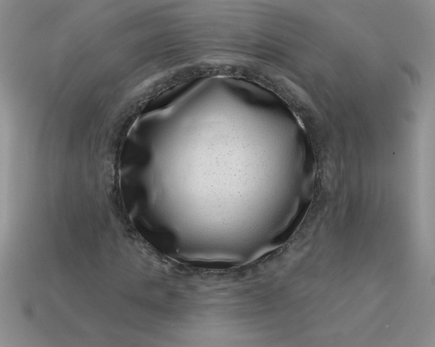 X0000113000821200909101754