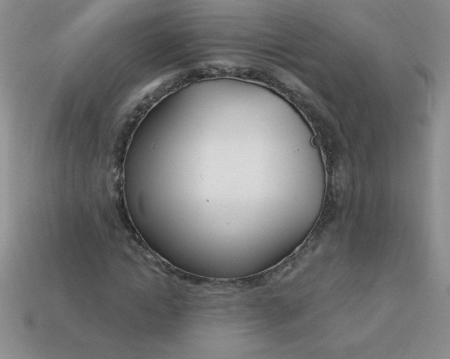 X0000113000822200909101754