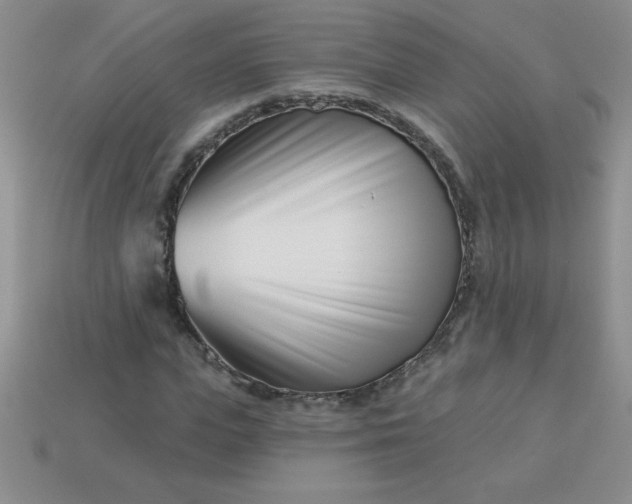 X0000113000823200909101754