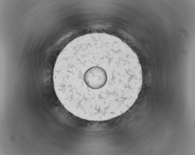 X0000113000824200909101754