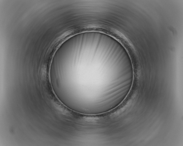 X0000113000825200909101754