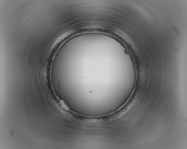 X0000113000826200909101754