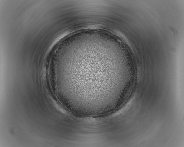 X0000113000827200909101754