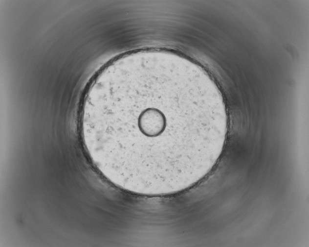 X0000113000828200909101754