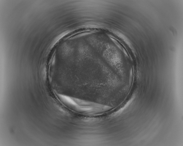 X0000113000829200909101754