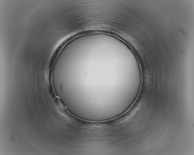 X0000113000830200909101754