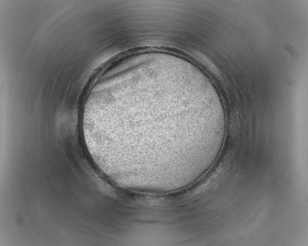 X0000113000831200909101754