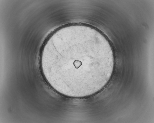 X0000113000832200909101754