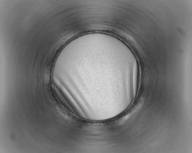 X0000113000833200909101754