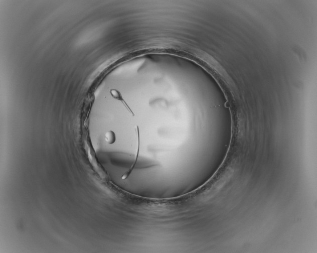 X0000113000834200909101755