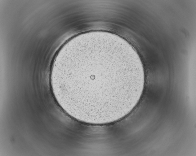 X0000113000836200909101755