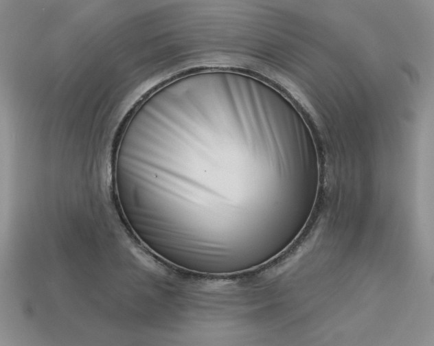 X0000113000837200909101755