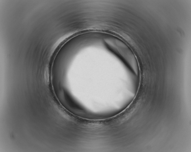 X0000113000838200909101755