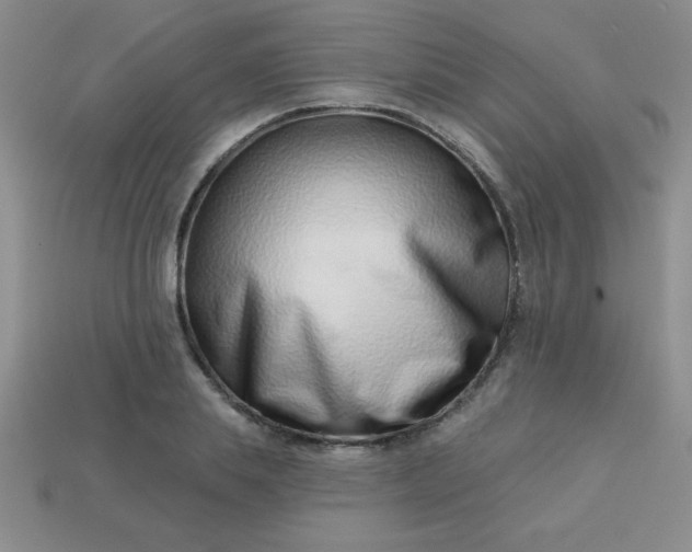 X0000113000839200909101755