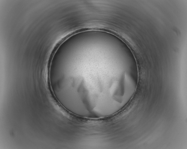 X0000113000840200909101755