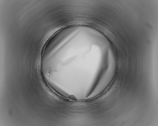 X0000113000844200909101755