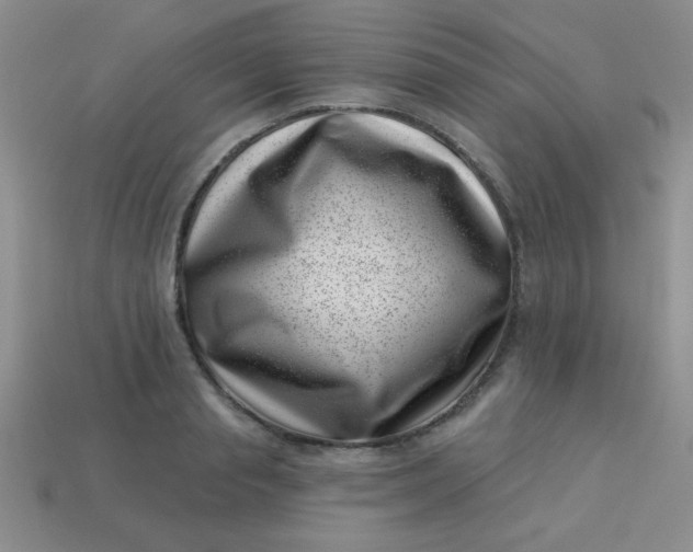 X0000113000845200909101755