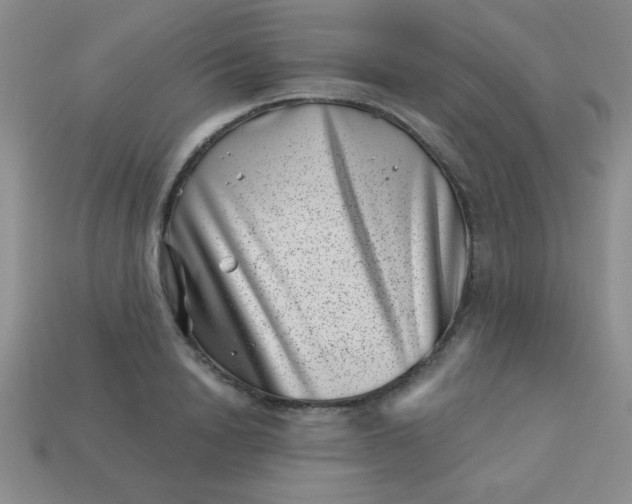 X0000113000846200909101755