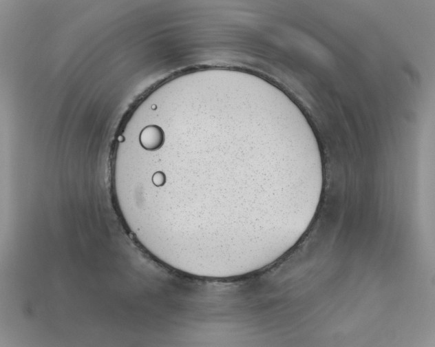 X0000113000848200909101755