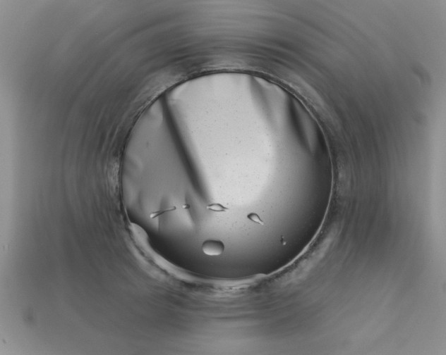 X0000113000849200909101755