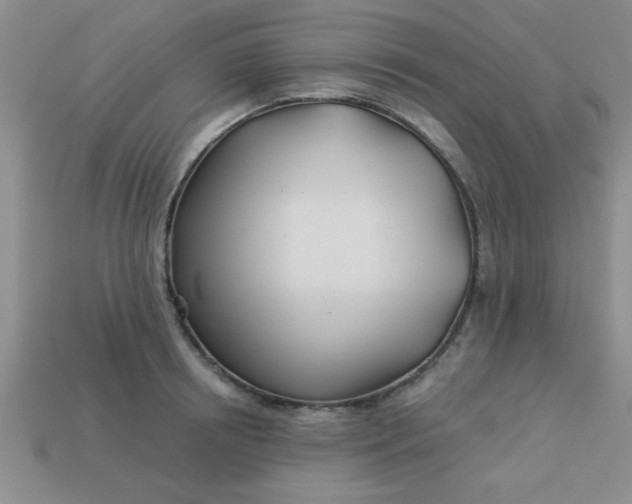 X0000113000850200909101755