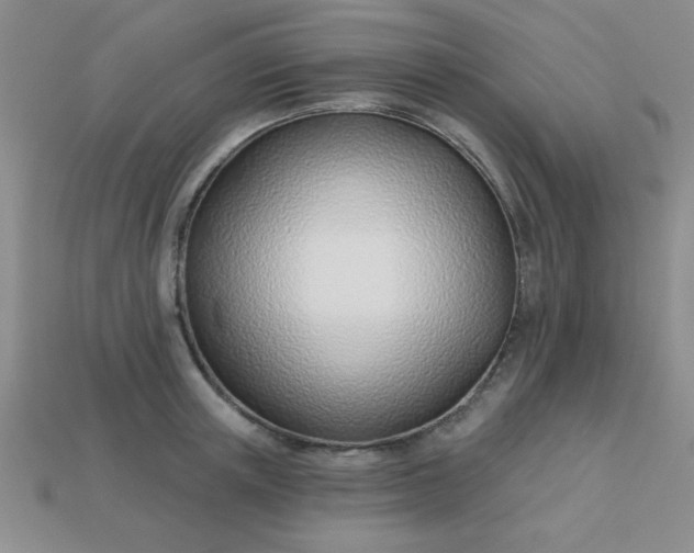 X0000113000851200909101755