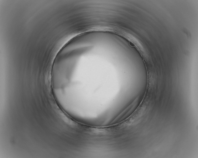 X0000113000852200909101755