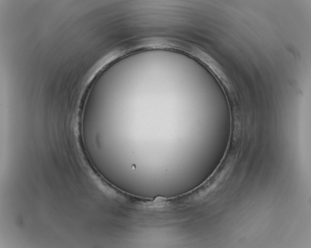 X0000113000853200909101755