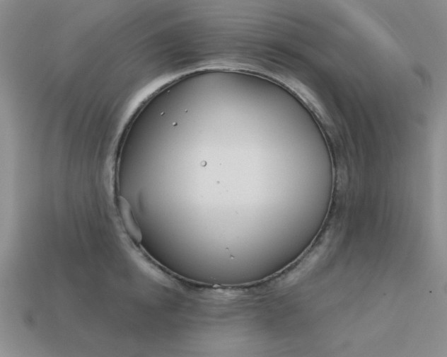 X0000113000854200909101755