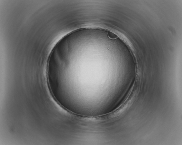 X0000113000855200909101755