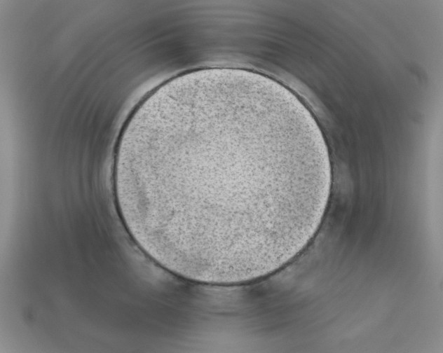 X0000113000856200909101755