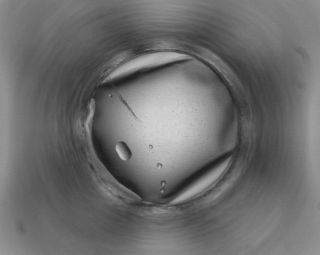 X0000113000857200909101755