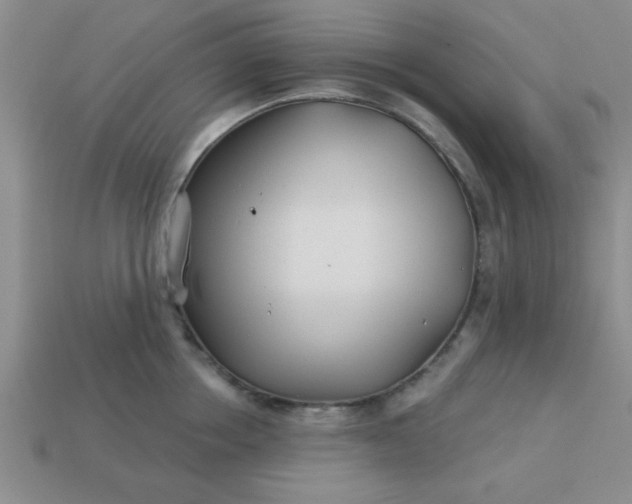 X0000113000858200909101755