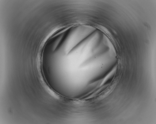 X0000113000859200909101755