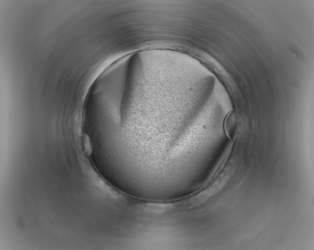 X0000113000860200909101755