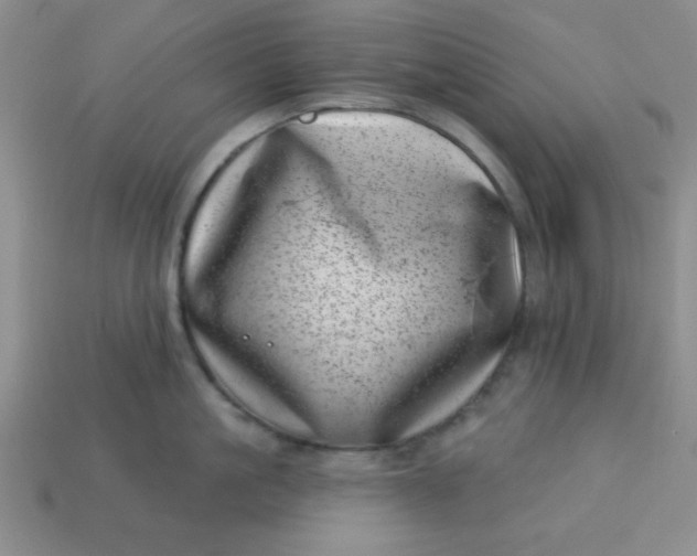 X0000113000861200909101755