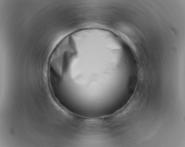 X0000113000863200909101755