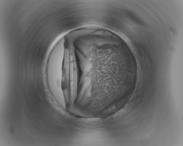 X0000113000864200909101755