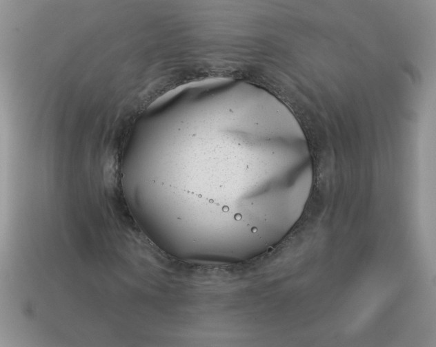 X0000113000866200909101754