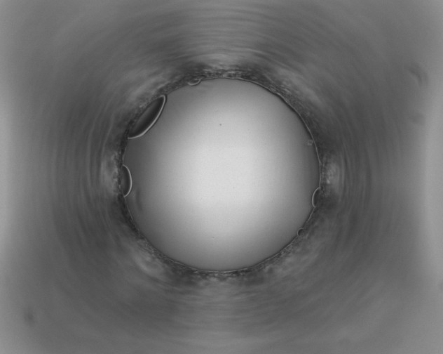 X0000113000868200909101754