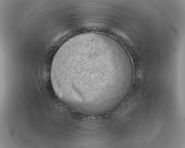 X0000113000869200909101754