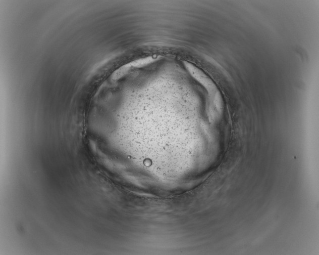 X0000113000870200909101754