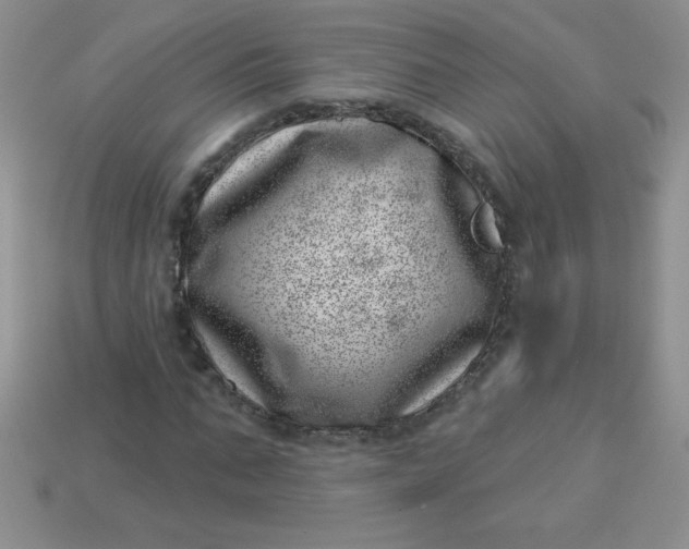 X0000113000871200909101754