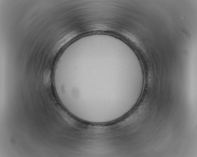 X0000113000873200909101754