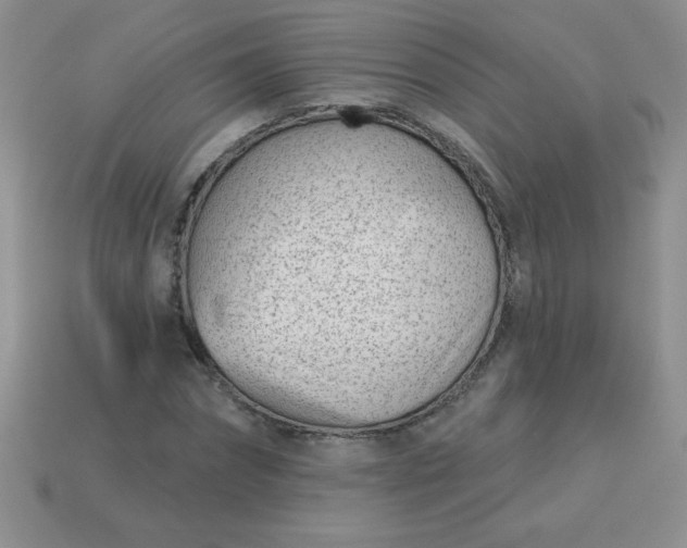 X0000113000874200909101754