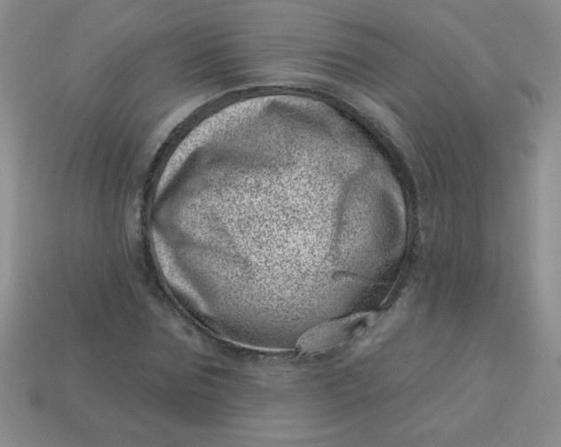 X0000113000875200909101754