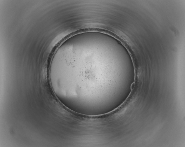 X0000113000877200909101754