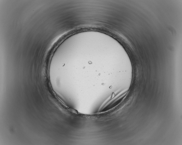 X0000113000878200909101754