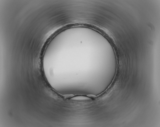 X0000113000879200909101754