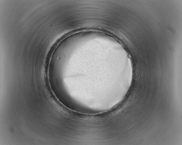 X0000113000880200909101754